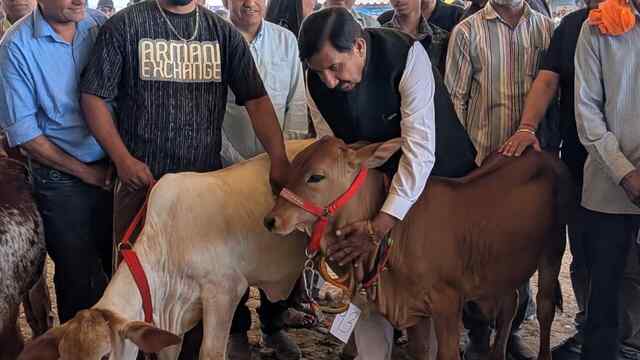 हरोली उत्सव: पशुपालन विभाग की प्रदर्शनीं एवं विशेष गतिविधियों रहीं आकर्षण केन्द्र
