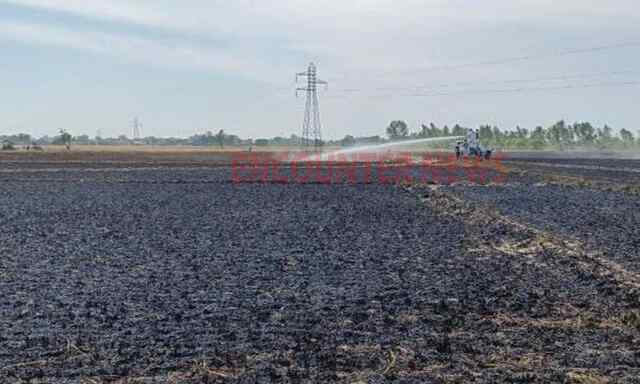 Punjab News: किसानों पर टूटा कहर, आग लगने से 15 एकड़ गेंहू राख