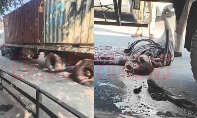 Punjab News: ट्रक की चपेट में आई रैपिडो सवार महिला, मौत