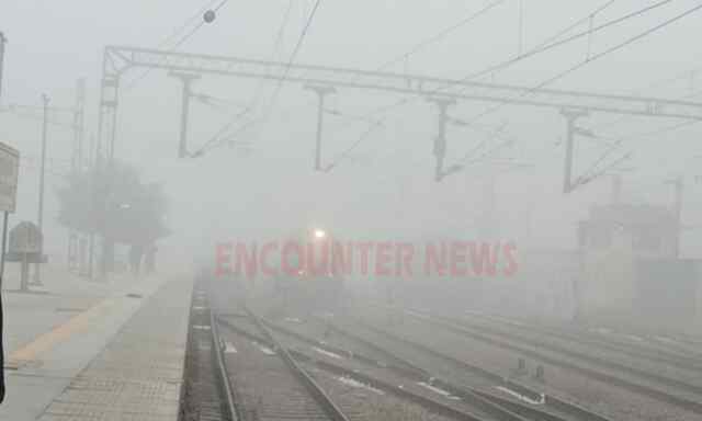 Punjab News: घने कोहरे का कहर जारी, 0.6 डिग्री पहुंचा पारा, आज रेड अलर्ट जारी