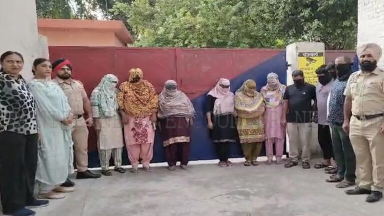 Punjab News : दुकानों मे गहने बदलकर वारदातों को अंजाम देने वाले 6 महिलाओं सहित 10 गिरफ्तार, देखें वीडियो