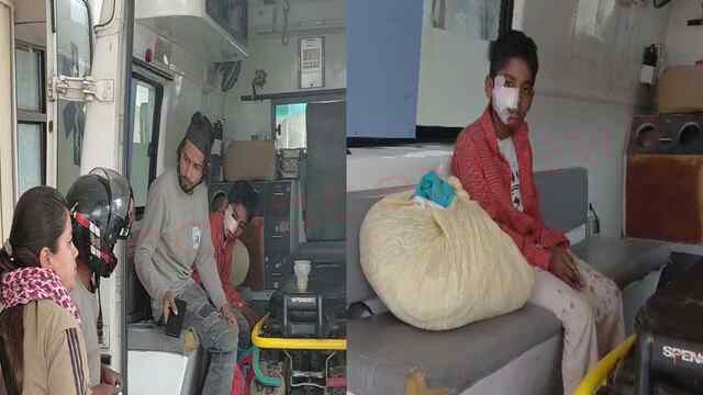 स्कूली छात्र पर आवारा कुत्ते ने किया हमला, हालात गंभीर