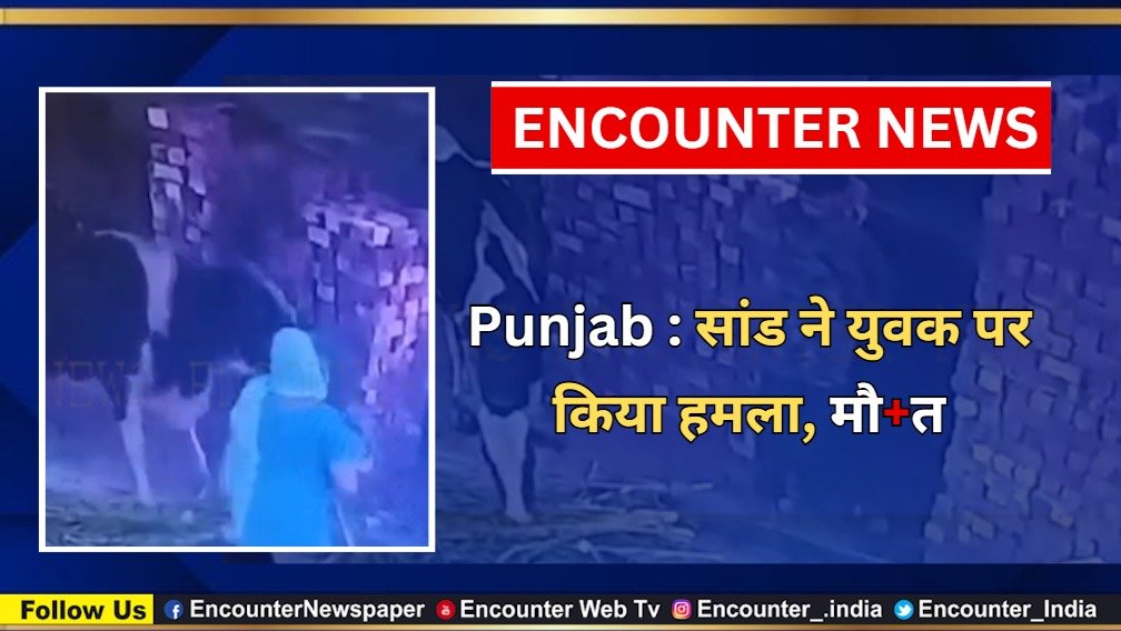 Punjab News: सांड ने युवक पर किया हमला, मौत, वीडियो वायरल
