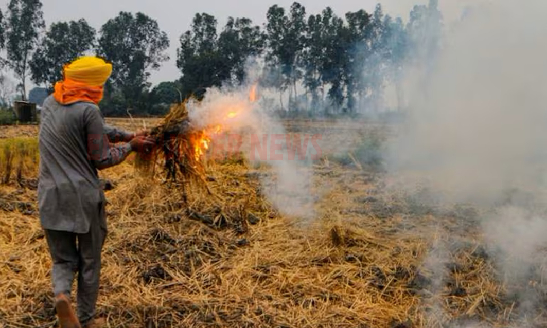 Punjab News: फिर जलने लगी पराली 90 मामले दर्ज, कई किसानों पर जुर्माना और FIR दर्ज