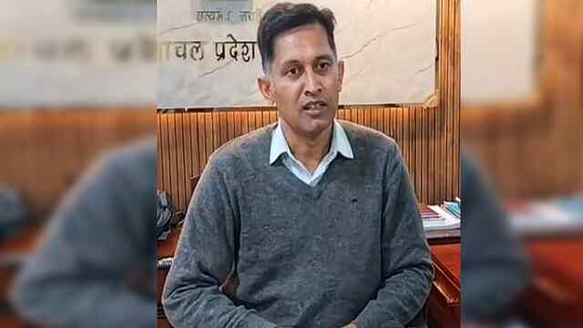 झंबर पंचायत में एक हजार खैर कटने की खबर निकली झूठी 