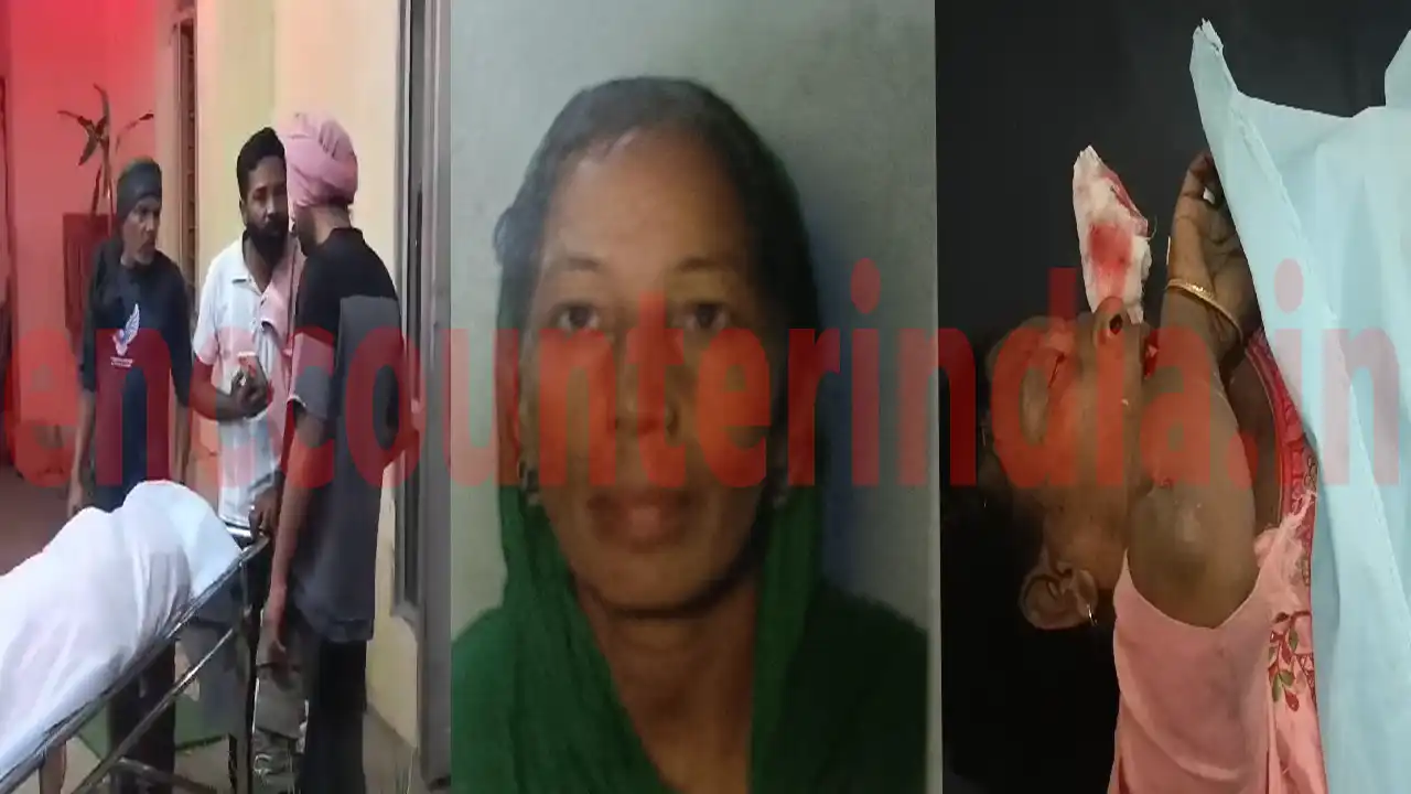 Punjab News : अज्ञात वाहन ने दो महिलाओं को मारी टक्कर, एक की मौत, दूसरी गंभीर घायल