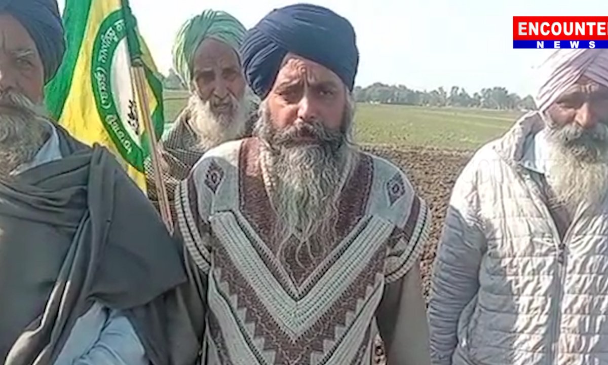 Punjab News : गुलाबी सुंडी ने गेहूं की फसल की बर्बाद, देखें वीडियो