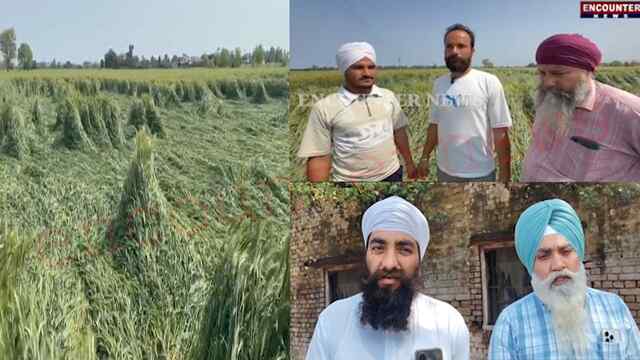 Punjab News: तेज आंधी, बारिश ने खेतों में मचाई तबाही, किसानों का आया बयान, देखें वीडियो