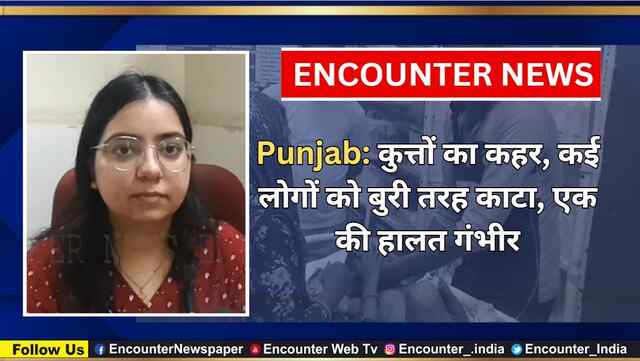 Punjab: कुत्तों का कहर, कई लोगों को बुरी तरह काटा, एक की हालत गंभीर, देखें वीडियो