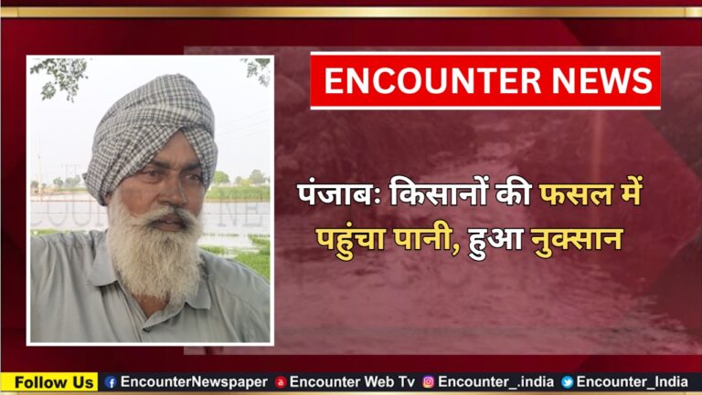 पंजाबः किसानों की फसल में पहुंचा पानी, हुआ नुक्सान, देखें वीडियो