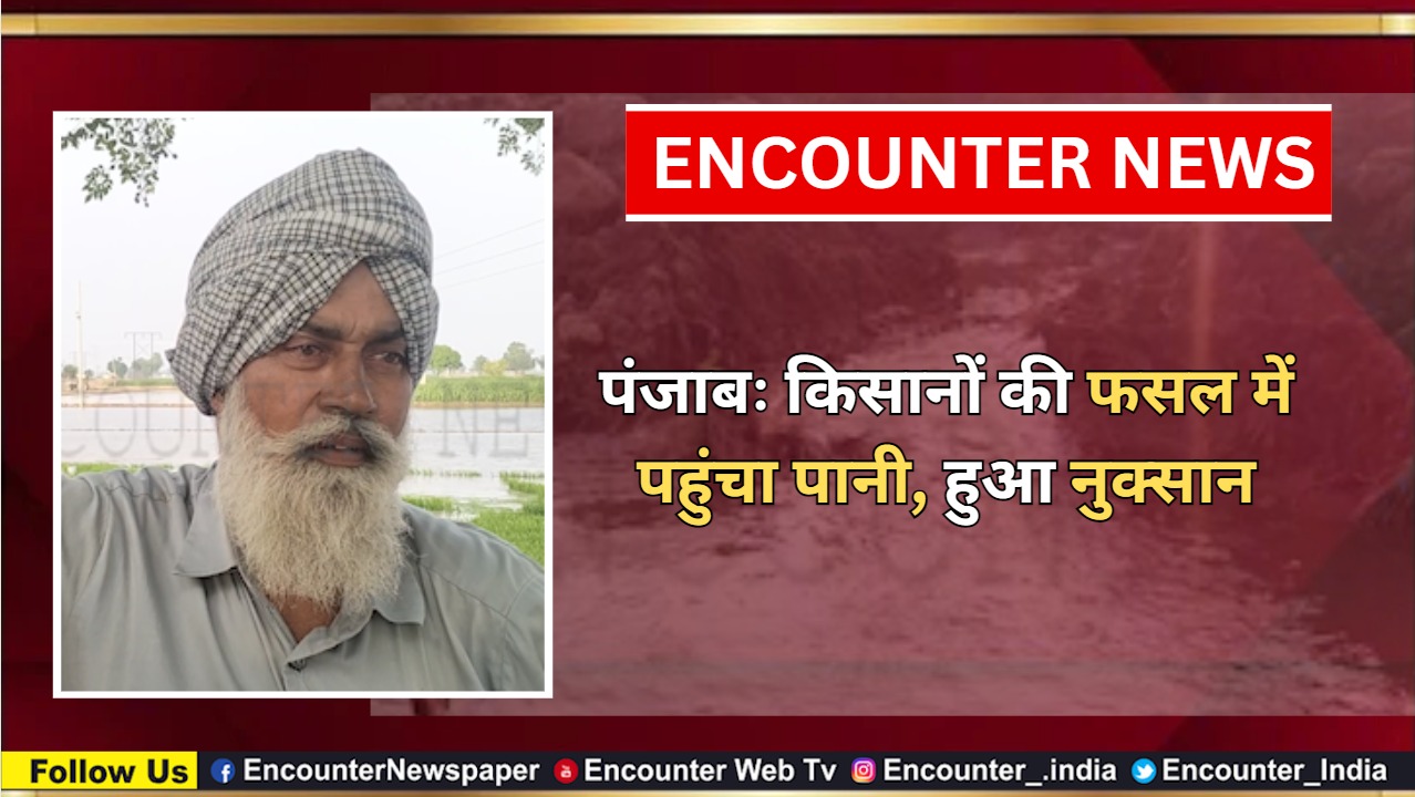 पंजाबः किसानों की फसल में पहुंचा पानी, हुआ नुक्सान, देखें वीडियो