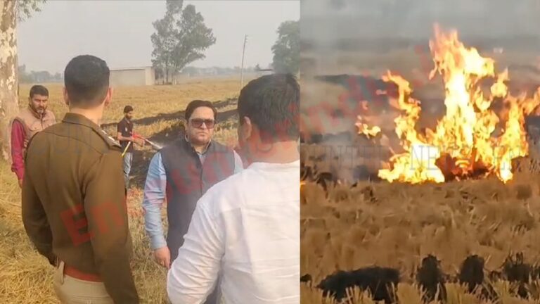 Punjab News: नहीं थम रहे पराली को आग लगाने के मामले, मौके पर पहुंचे DC विशेष सारंगल, देखें वीडियो