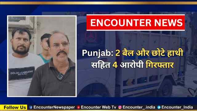 Punjab: 2 बैल और छोटे हाथी सहित 4 आरोपी गिरफ्तार, देखें वीडियो