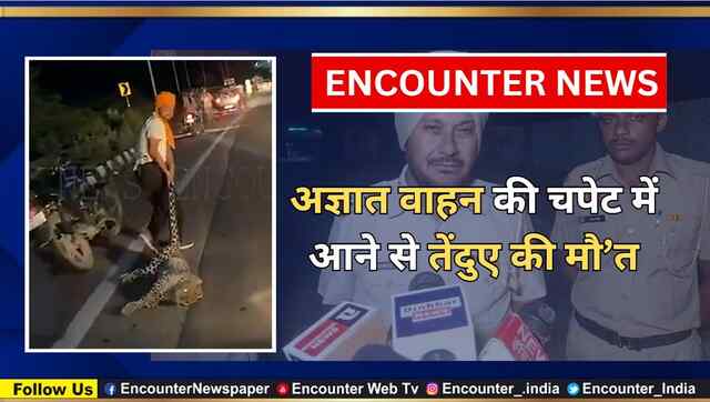अज्ञात वाहन की चपेट में आने से तेंदुए की मौ’त, देखें वीडियो