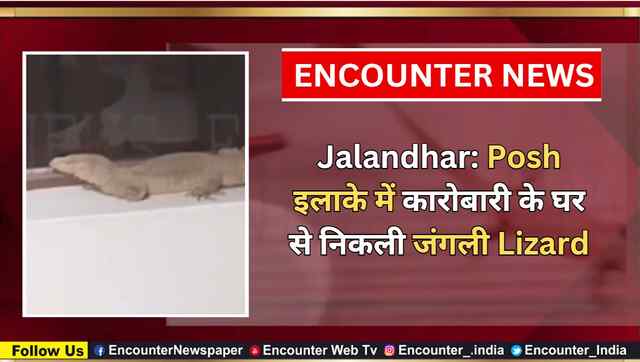 Jalandhar: Posh इलाके में कारोबारी के घर से निकली जंगली Lizard, देखें वीडियो