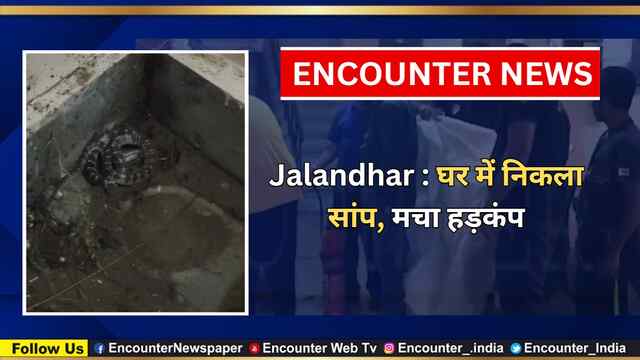 Jalandhar : घर में निकला सांप, मचा हड़कंप, देखें वीडियो