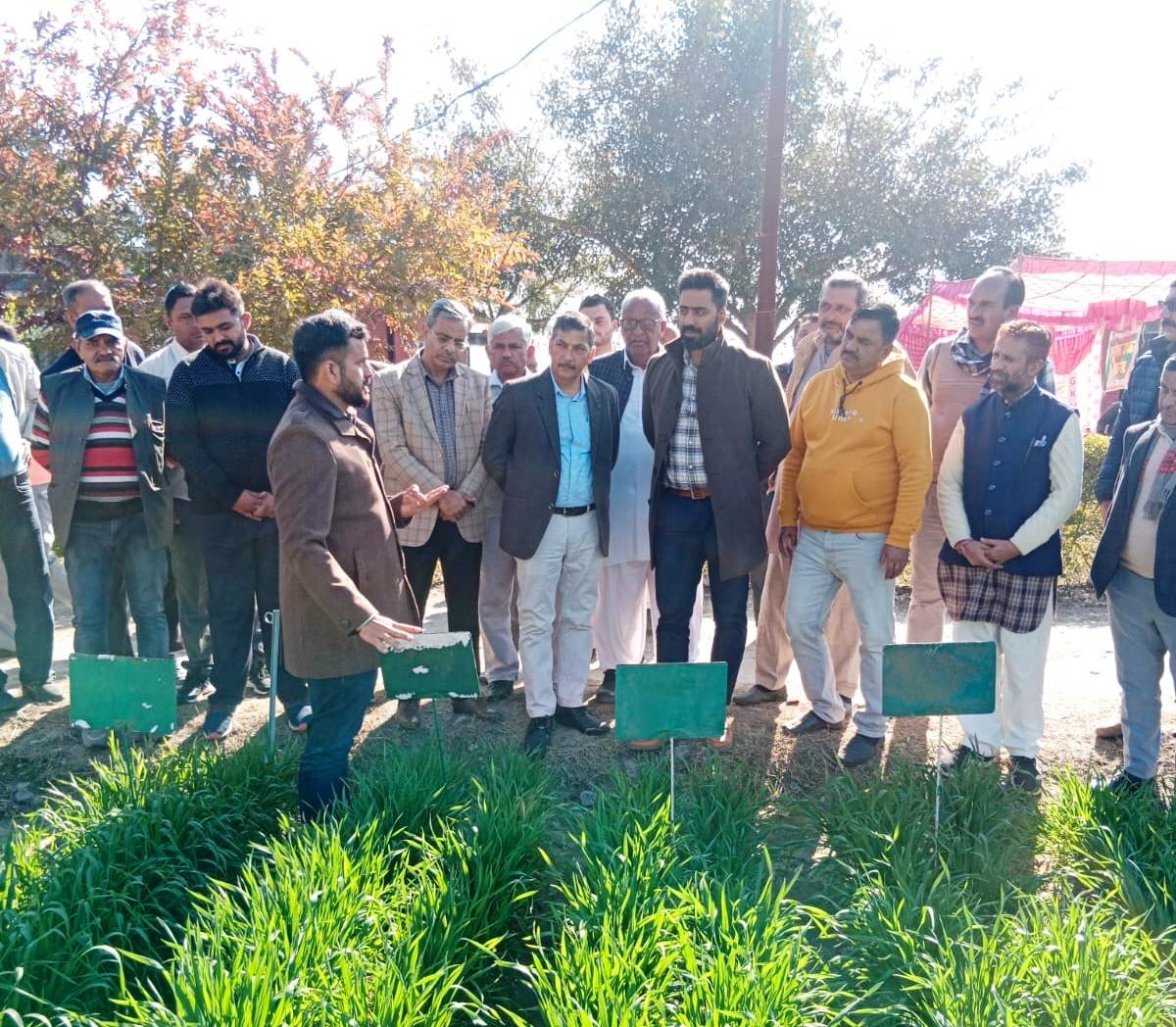 उपायुक्त ने किसानों से मिश्रित खेती अपनाने का किया आह्वान