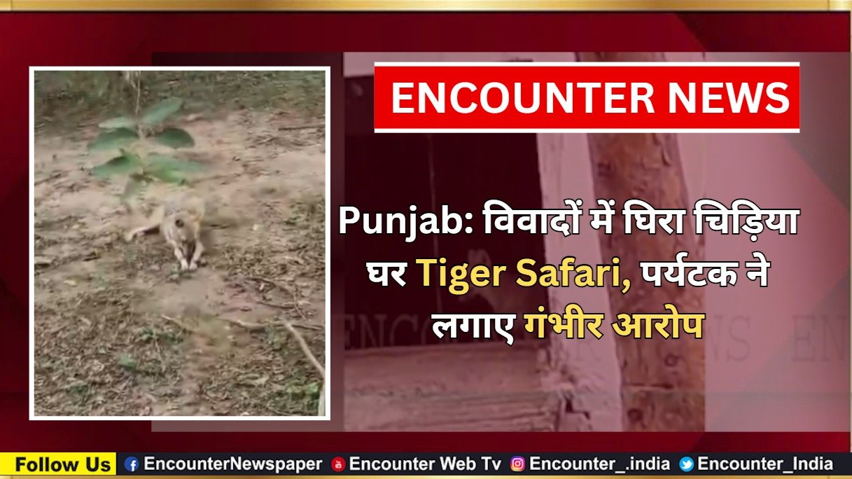 Punjab: विवादों में घिरा चिड़िया घर Tiger Safari, पर्यटक ने लगाए गंभीर आरोप, देखें वीडियो