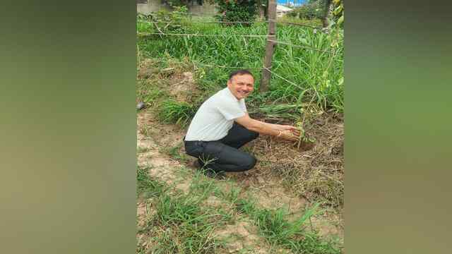 लाज मोटर्स परिवार ने किया बद्दी में  पौधारोपण औषधीय पौधे लगाए