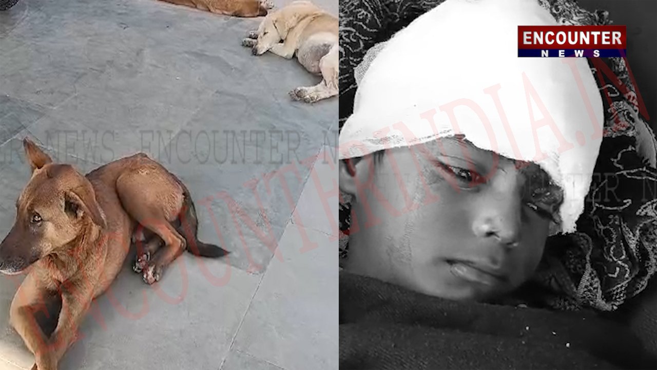 Punjab News: आवारा कुत्तों का कहर, 5 वर्षीय बच्चे को किया घायल, देखें वीडियो