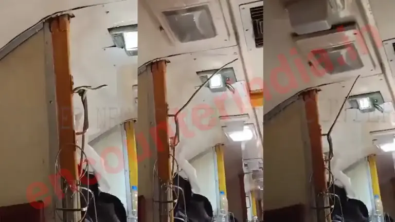गरीब रथ Ac-Coach के अंदर घुसा सांप, यात्रियों में मचा हड़कंप, देखें वीडियो