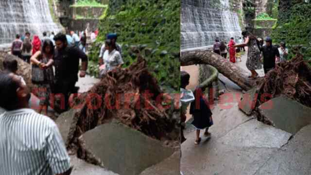 Rock Garden में पेड़ गिरने से लोगों में मची अफरा-तफरी, देखें वीडियो
