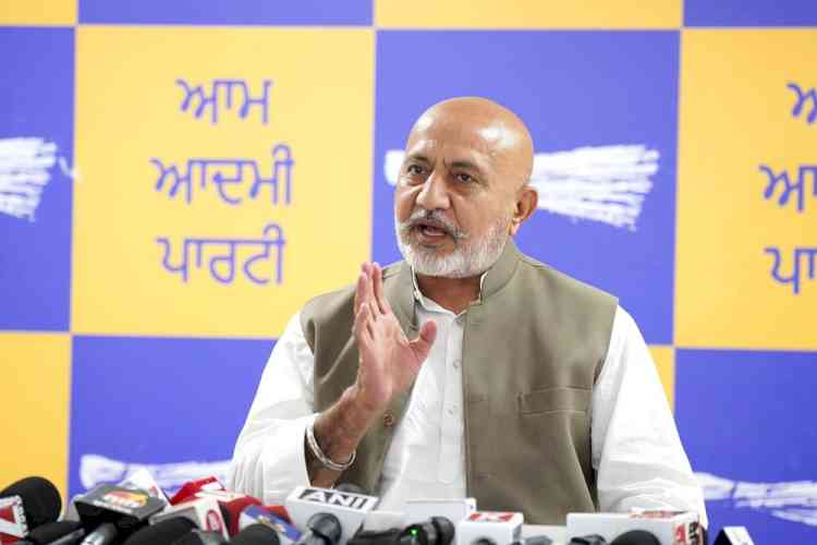 Punjab News: पंजाब पुलिस हाईटेक बनी, 84 हजार वॉयस सैंपल और 3.9 लाख अपराधियों का डाटाबेस तैयार – बलतेज पन्नू