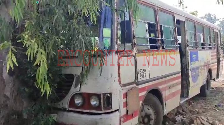 Punjab News: पेड़ से टकराई यात्रियों से भरी रोडवेज बस, मची चीख पुकार