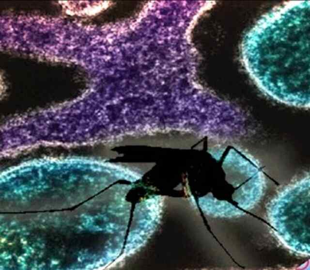 Corona के बाद इस virus का कहर हुआ जारी, 32 लोगों की हुई मौत