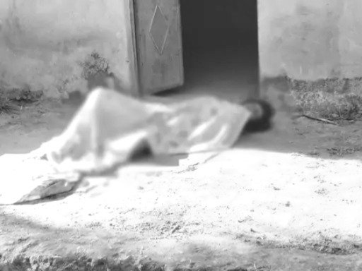 बड़ी मां को भतीजी को लड़कों के साथ पार्टी करने से रोकना पड़ा महंगा, मौत
