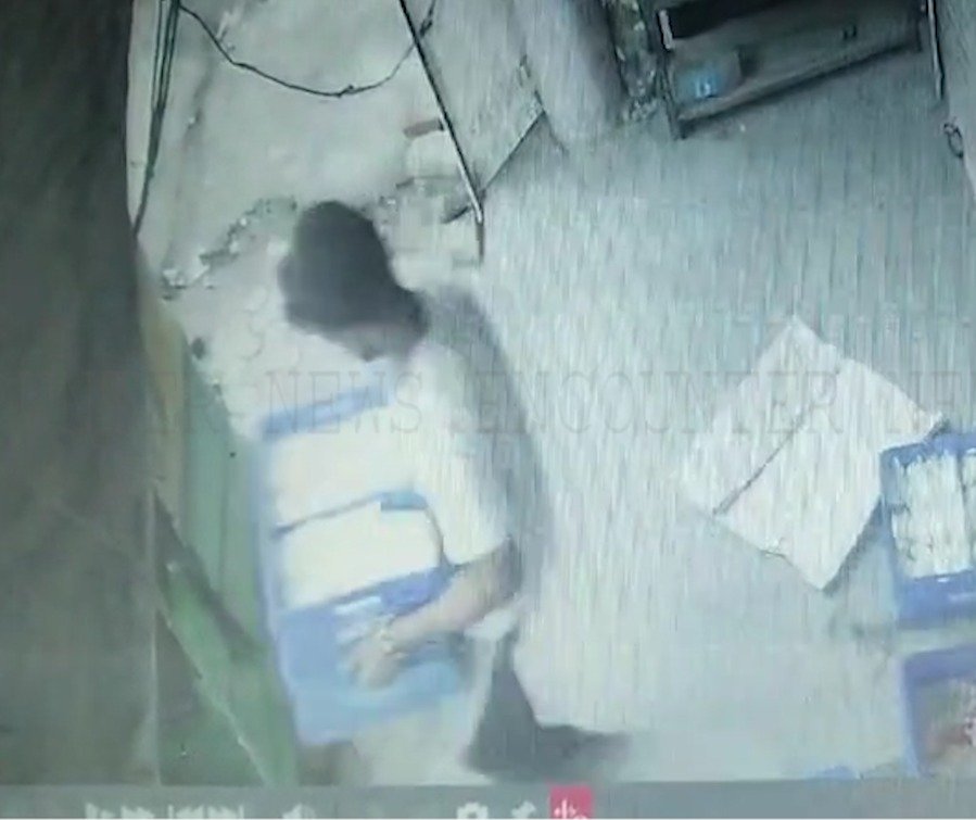 Punjab News: Auto सवार चोर 2 दुकानों से दूध की 16 क्रेट लेकर हुए फरार, देखें CCTV
