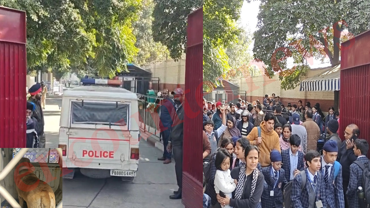 Jalandhar News: धमकी के बाद स्कूल की जांच करने पहुंचा डॉग स्क्वायड टीम, देखें वीडियो