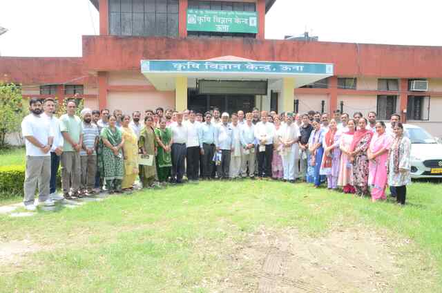 रामपुर में DAESI Program के छठे बैच के Input Dealers को वितरित किए गए प्रमाण पत्र