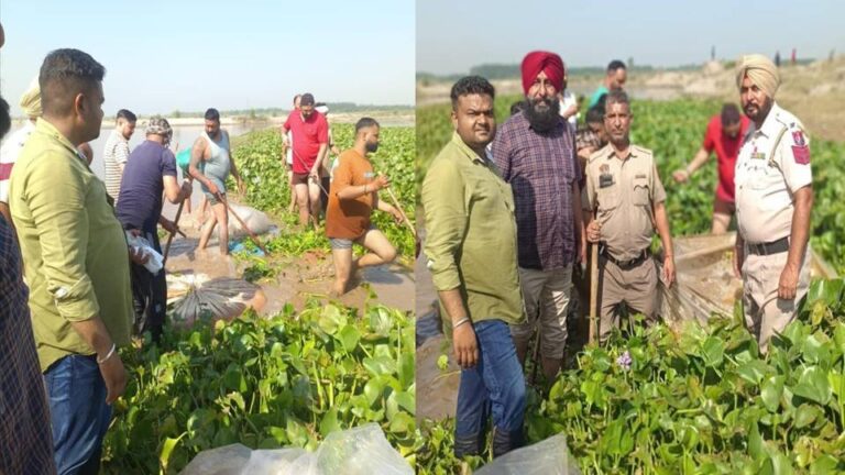 Punjab News: आबकारी विभाग का बड़ा सर्च अभियान: सतलुज किनारे से 9600 लीटर अवैध शराब बरामद