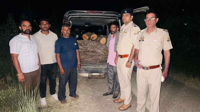 जाडला कोडी में स्कॉर्पियो गाड़ी से खैर की लकड़ी के सात मोच्छे पकड़े,दो काबू 
