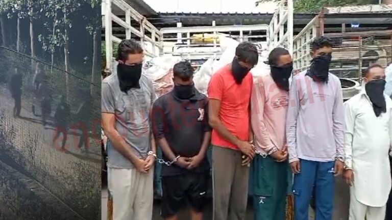 Punjab News: फैक्ट्रियों को निशाना बनाने वाले चोर गिरोह के 6 आरोपी गिरफ्तार, देखें वीडियो