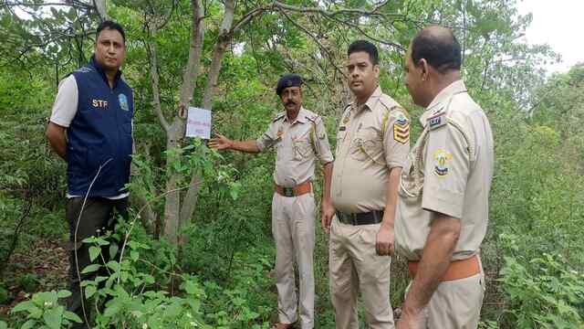 प्रदेश के 573 स्थानों पर चलाया गया गहन तलाशी अभियान