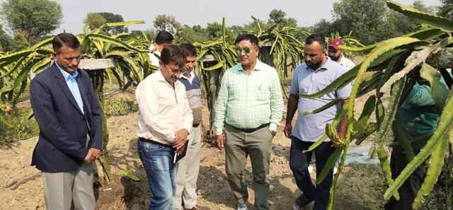 बागवानी मंत्री ने अंब में ड्रैगन फल के बगीचे का दौरा