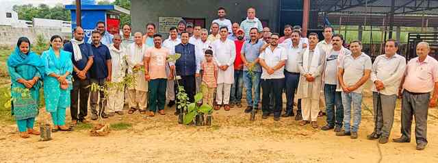 कुटलैहड़ः कंवर ने शुरू किया एक पौधा मां के नाम अभियान
