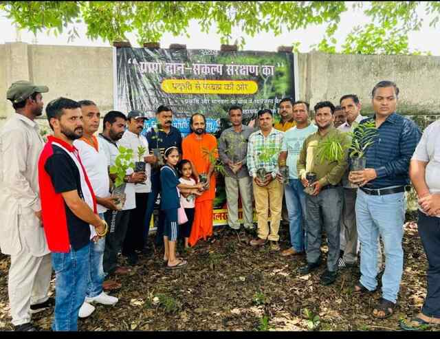 प्रेस क्लब हरोली ने टाहलीवाल विश्राम गृह में पौधरोपण किया