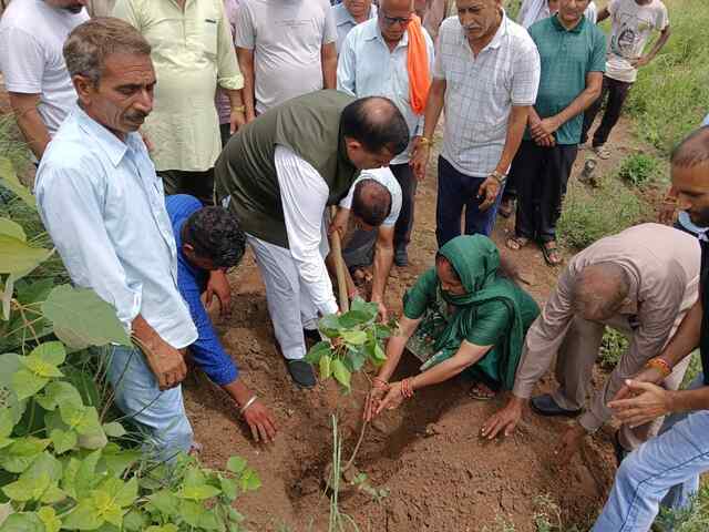 “एक पौधा मां के नाम” अभियान के तहत कुटलैहड़ विधानसभा में 5000 से अधिक पौधे रोपित करने का लक्ष्य : वीरेंद्र कंवर