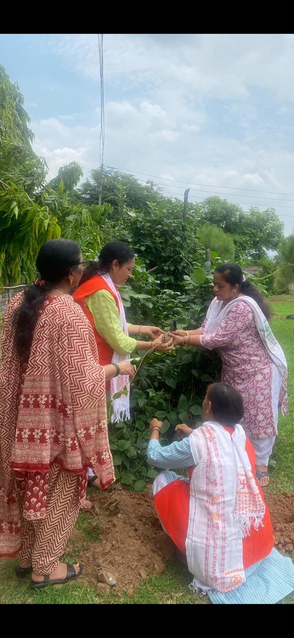 महिला योग समिति ने बद्दी में मनाया जड़ू बूटी दिवस