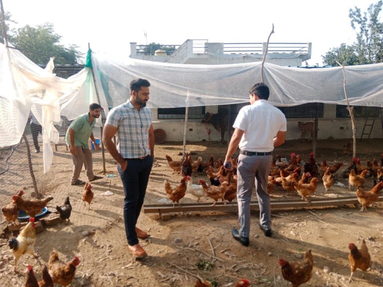 डीसी ने किया बहडाला कड़कनाथ पोल्ट्री फार्म का दौरा