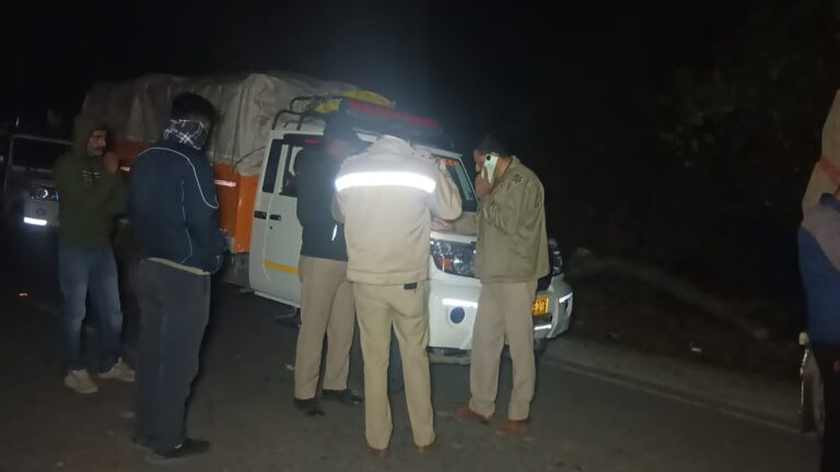 ऊना :पंजाब जा रही लकड़ी से भरी 15 पिकअप गाड़ियां पकड़ी