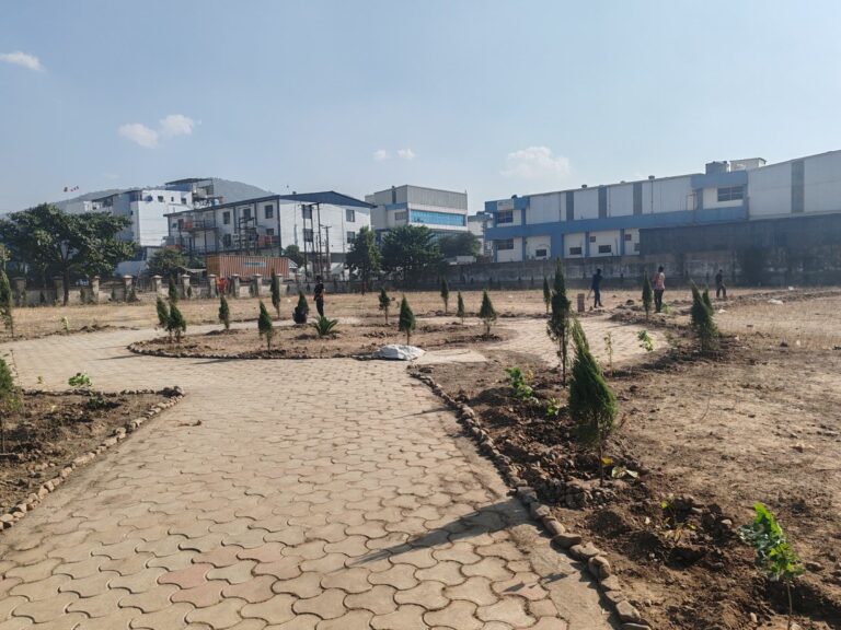 दिल्ली की संस्था ने भटोली कलां पार्क को लिया गोद