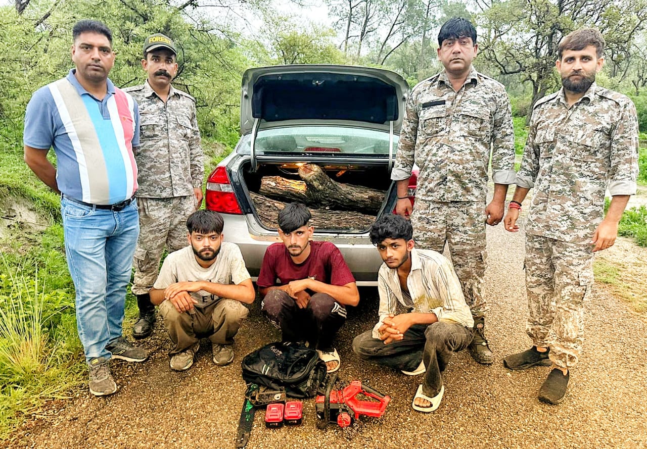 Himachal News: अम्बेहड़ा में तीन वन काटुए गाड़ी में खैर की लकड़ी सहित पकड़े