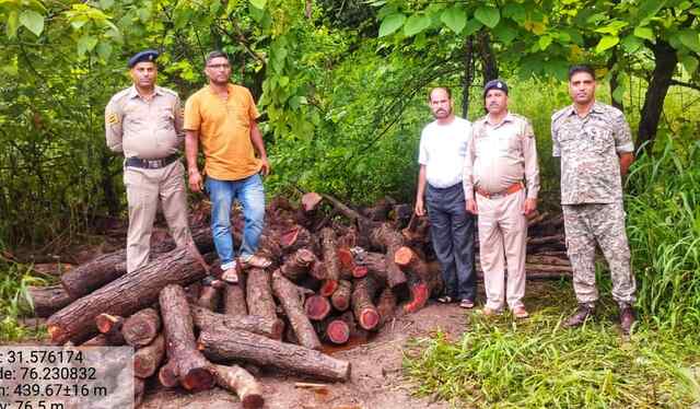 बसाल फॉरेस्ट बीट में अवैध खैर कटान का पर्दाफाश, मौके पर खैर के 76 और शहतूत के 9 मोच्छे बरामद