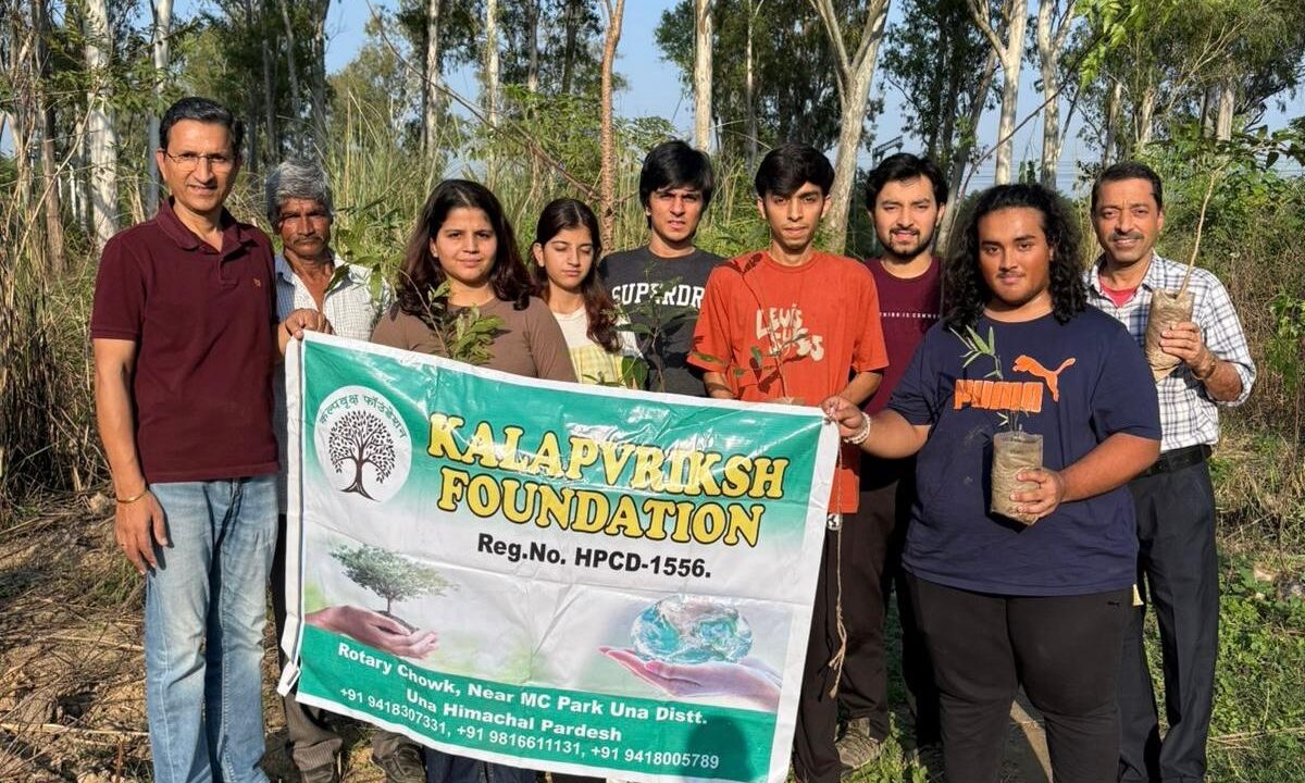 Himachal News: कलापवृक्ष फाउंडेशन ने शहर के विकासशील क्षेत्रों में लगाए 50 पौधे