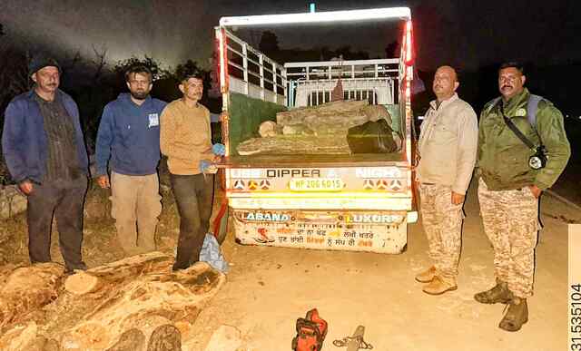 कुटलैहड़: रामगढ़ धार में अवैध खैर कटान के आरोप में वन विभाग ने ट्राले सहित पकड़े वन काटुए