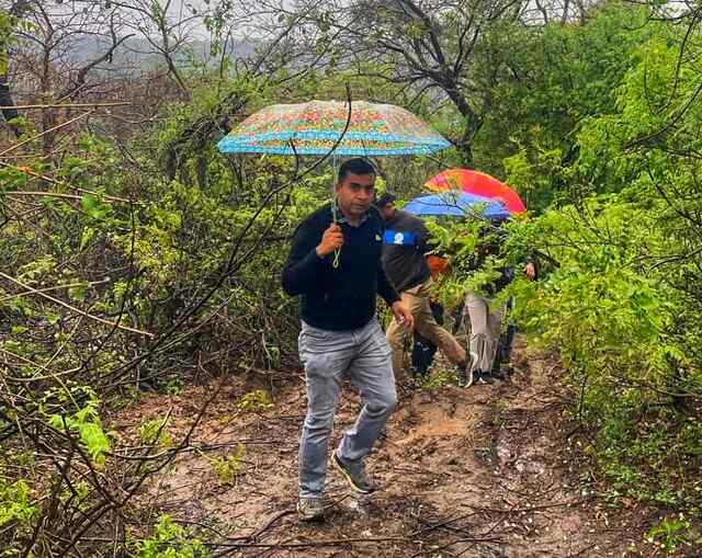 वन विभाग ऊना ने 1000 पेड़ों की कटाई की खबर को बताया भ्रामक, जांच में सिर्फ 18 पेड़ कटे पाए गए